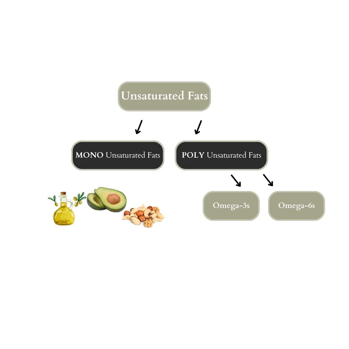 Diagram showing types of unsaturated fats. Unsaturated fats are divided into monounsaturated fats (with examples like olive oil, avocado, and nuts) and polyunsaturated fats, which include omega-3s and omega-6s.