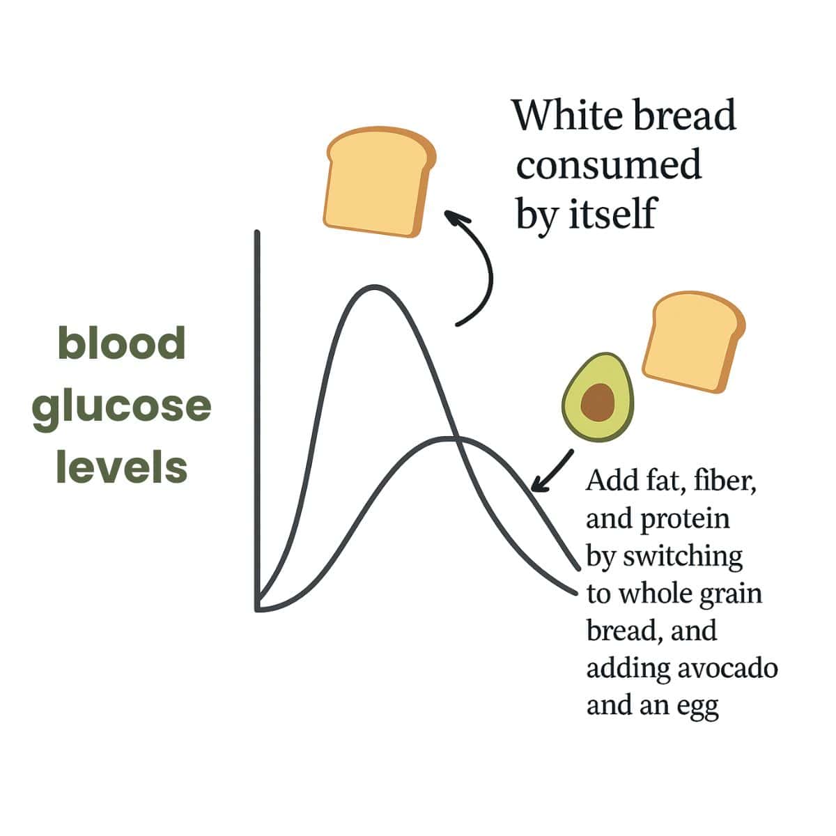 Graph showing blood glucose levels. White bread eaten alone causes a sharp spike, while adding fat, fiber, and protein with whole grain bread, avocado, and an egg leads to a smaller, steadier rise in blood sugar.