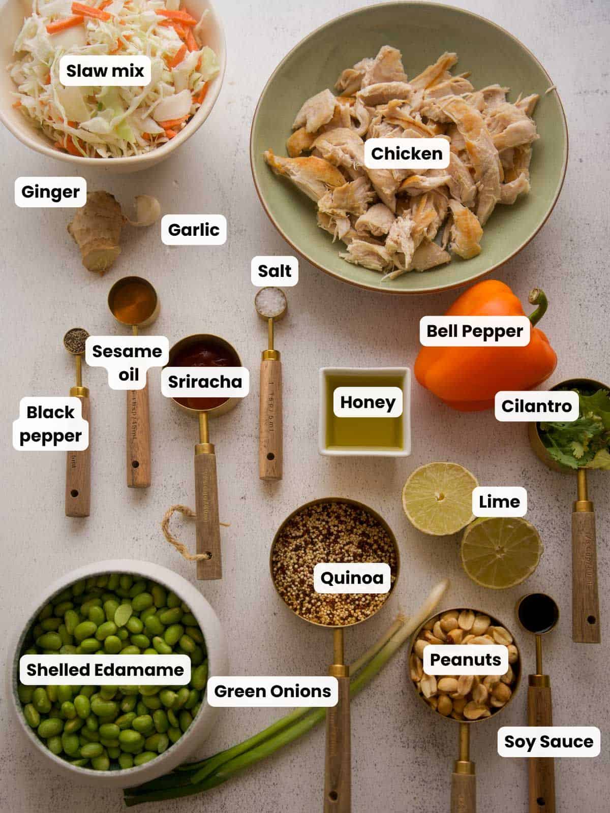 Overhead view of all the ingredients for spicy chicken salad neatly arranged on a light surface. Ingredients include shredded chicken, slaw mix, bell pepper, shelled edamame, quinoa, green onions, cilantro, lime, peanuts, garlic, ginger, salt, black pepper, sesame oil, soy sauce, sriracha, and honey, each labeled with text.