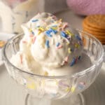 Ninja Creami vanilla ice cream recipe served in a glass bowl with colorful sprinkles.